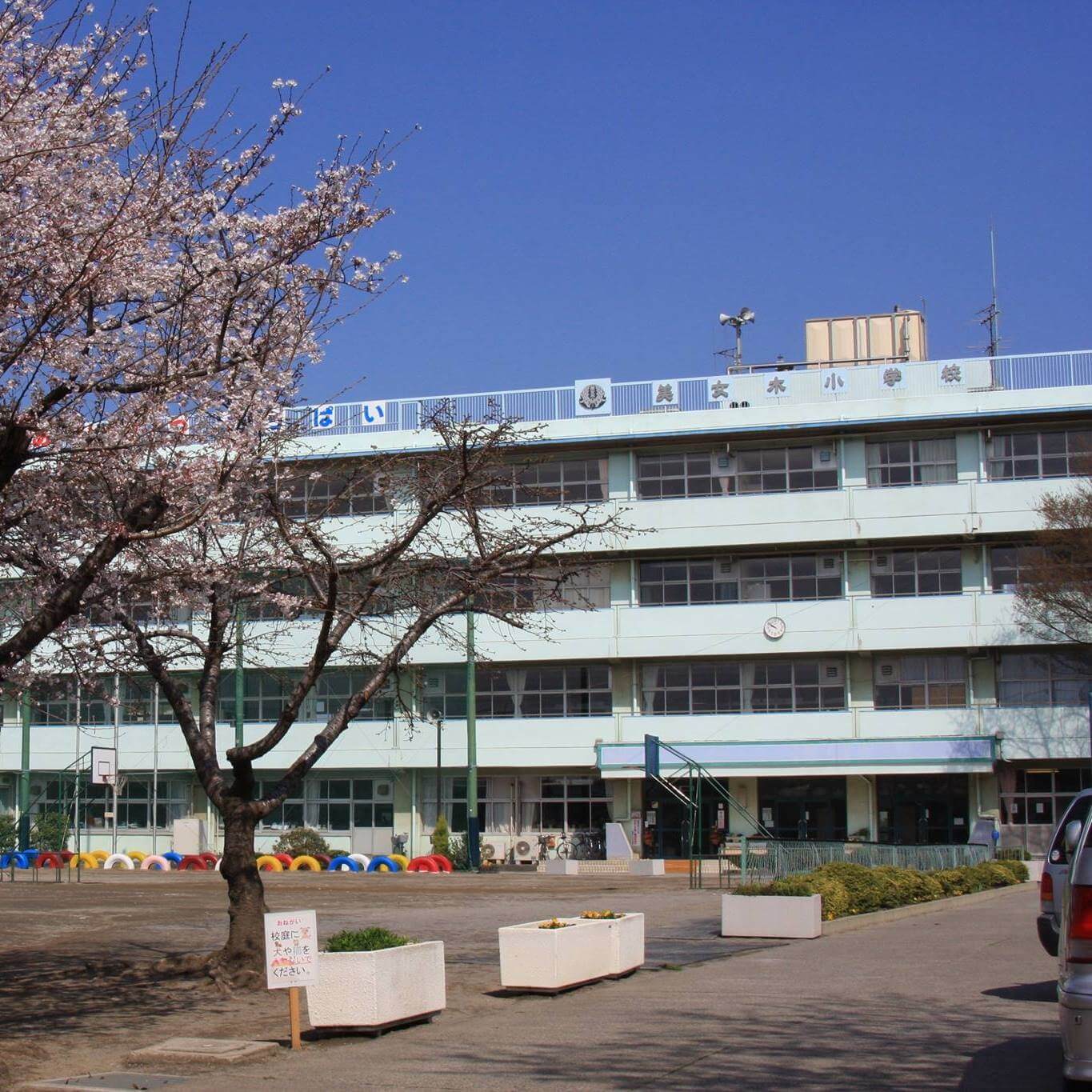 写真：戸田市立美女木小学校